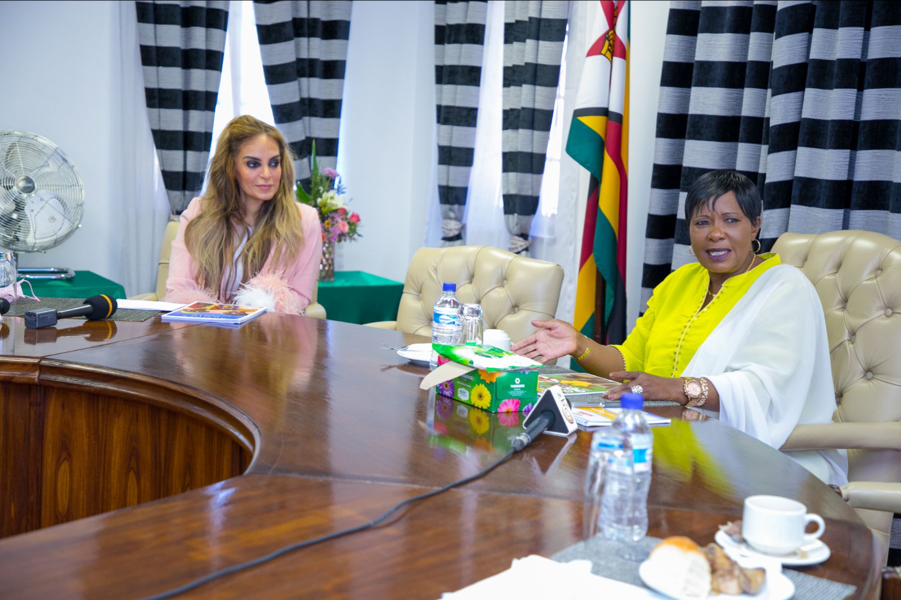 Senator, Dr Rasha Kelej, CEO of Merck Foundation with H.E. Dr. AUXILLIA MNANGAGWA, The First Lady of Zimbabwe and the Ambassador of Merck Foundation ‘More Than a Mother’