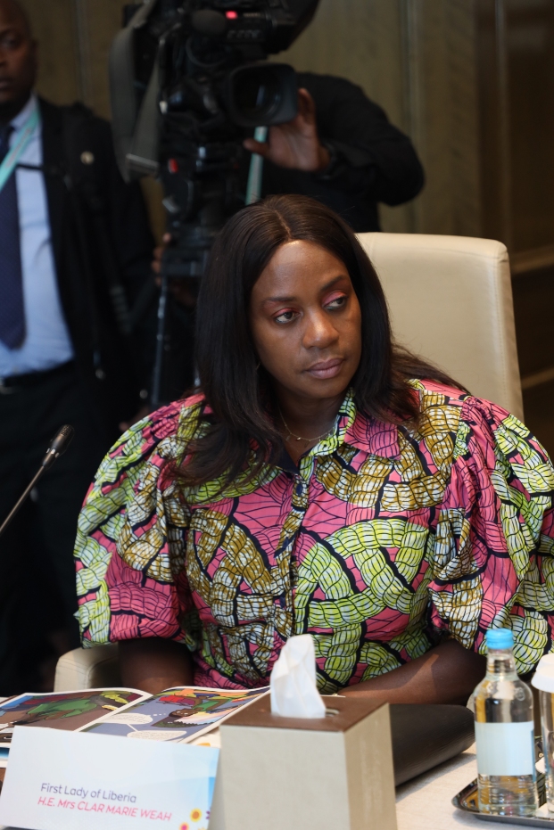 Senator, Dr. Rasha Kelej with African First Ladies and also Ambassadors of Merck Foundation “More Than a Mother” Campaign during Merck Foundation First Ladies Initiative - MFFLI Committee 2022