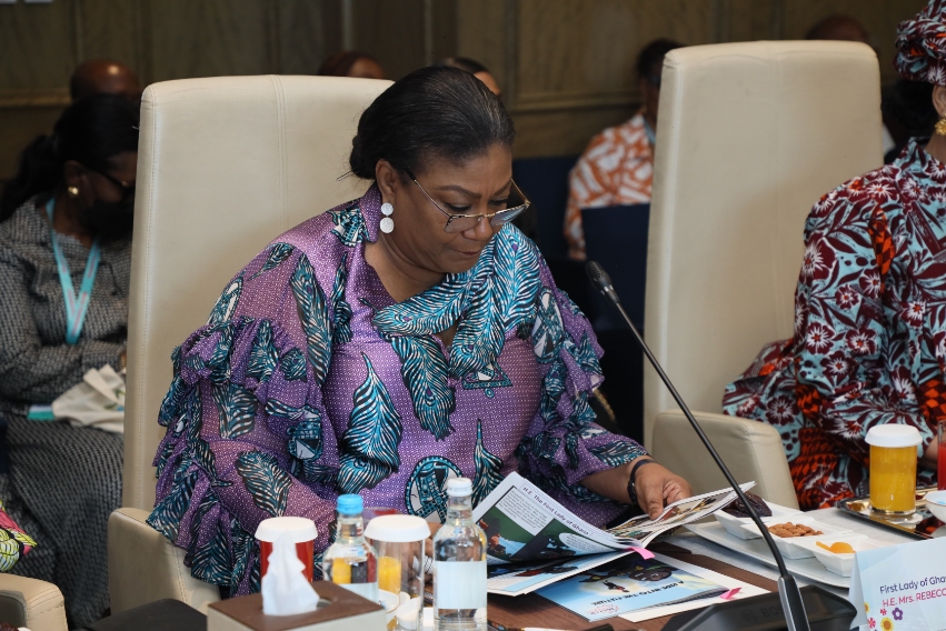 Senator, Dr. Rasha Kelej with African First Ladies and also Ambassadors of Merck Foundation “More Than a Mother” Campaign during Merck Foundation First Ladies Initiative - MFFLI Committee 2022