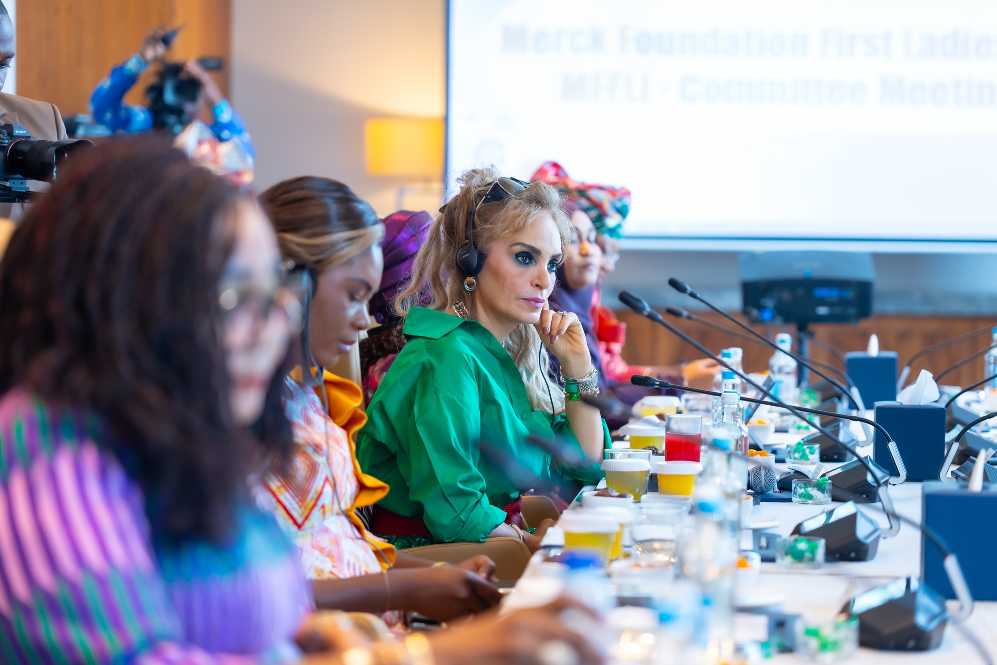 MFFLI 2025 Committee Meeting