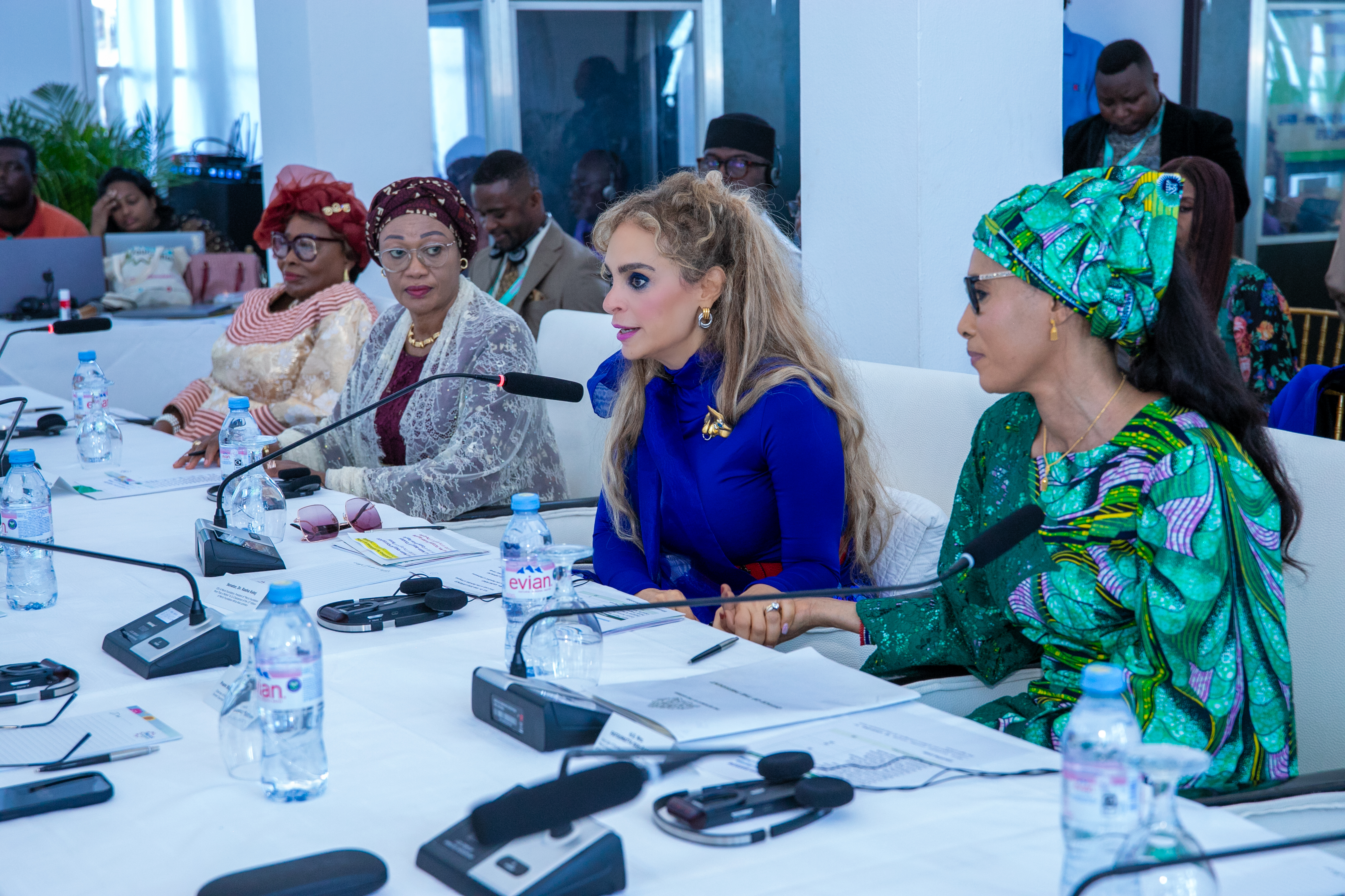 MFFLI Commitee Meeting