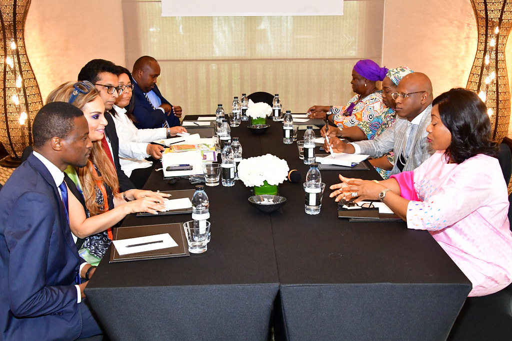 Dr. Rasha Kelej, CEO of Merck Foundation & President of Merck More Than a Mother meeting with FL of Guinea during MFFLI summit 2019