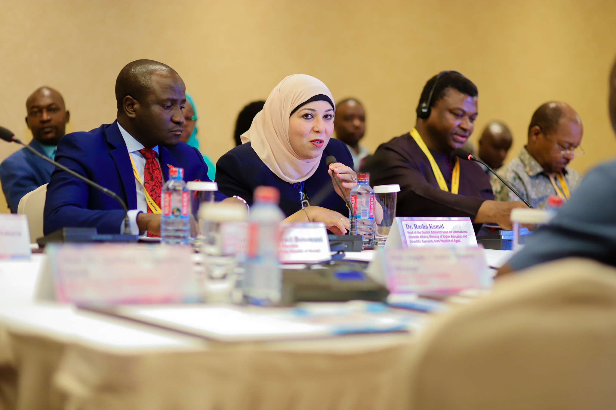 Dr. Rasha Kamal at UNESCO - Merck Africa Research Summit(MARS) Meeting during the Merck Africa Asia Luminary 2019